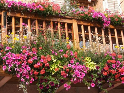 balconfleuri.jpg