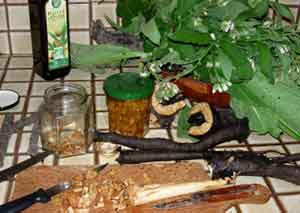 preparation-produit-beaute.jpg