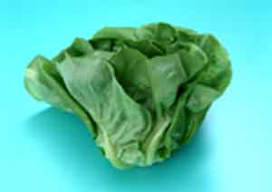 salade.jpg